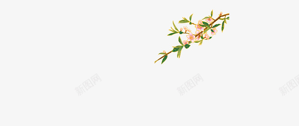 花朵树枝装饰元素手绘花朵png免抠素材_新图网 https://ixintu.com 花朵 树枝 装饰元素 手绘花朵