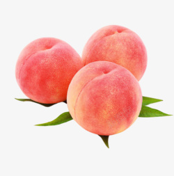 矢量图解桃子新鲜嫩色高清图片