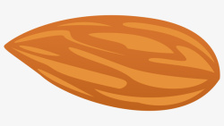 手绘一颗杏仁肉素材