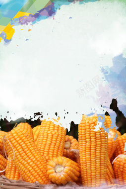 玉米五谷杂粮海报背景素材背景