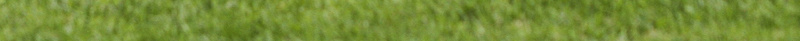 草坪创意简约足球社纳新海报背景psd设计背景_新图网 https://ixintu.com 加入我们 广告海报背景 开心 期待加入 校园文化 校园足球社 热血青春 等你来 绿色 草坪背景 足球社团