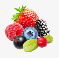 多种美味水果素材