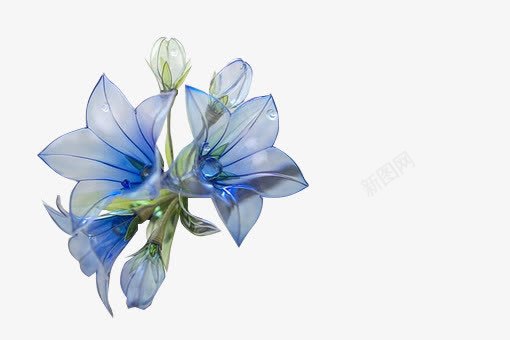 蓝色花透明花朵png免抠素材_新图网 https://ixintu.com 素材 花朵 蓝色 透明