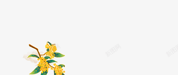 手绘花朵花朵装饰元素树枝桂花png免抠素材_新图网 https://ixintu.com 手绘花朵 花朵 装饰元素 树枝 桂花