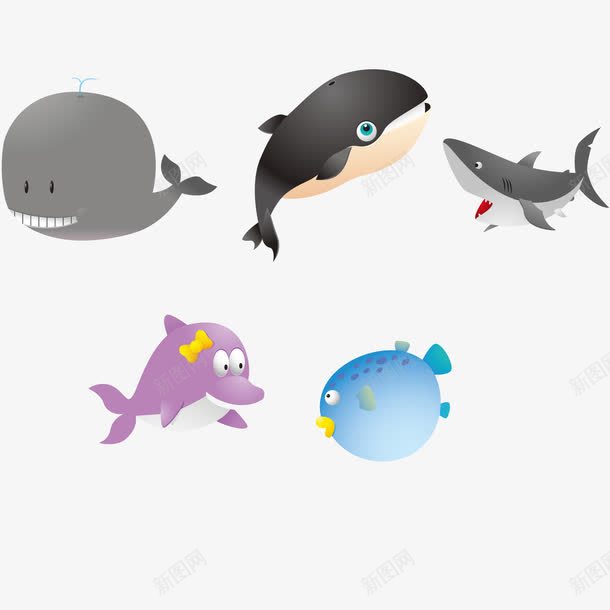 海洋动物矢量图ai免抠素材_新图网 https://ixintu.com 动物 海洋 鱼类 鲸鱼 矢量图