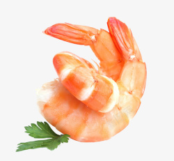 鲜美的虾熟虾鲜美美味高清图片