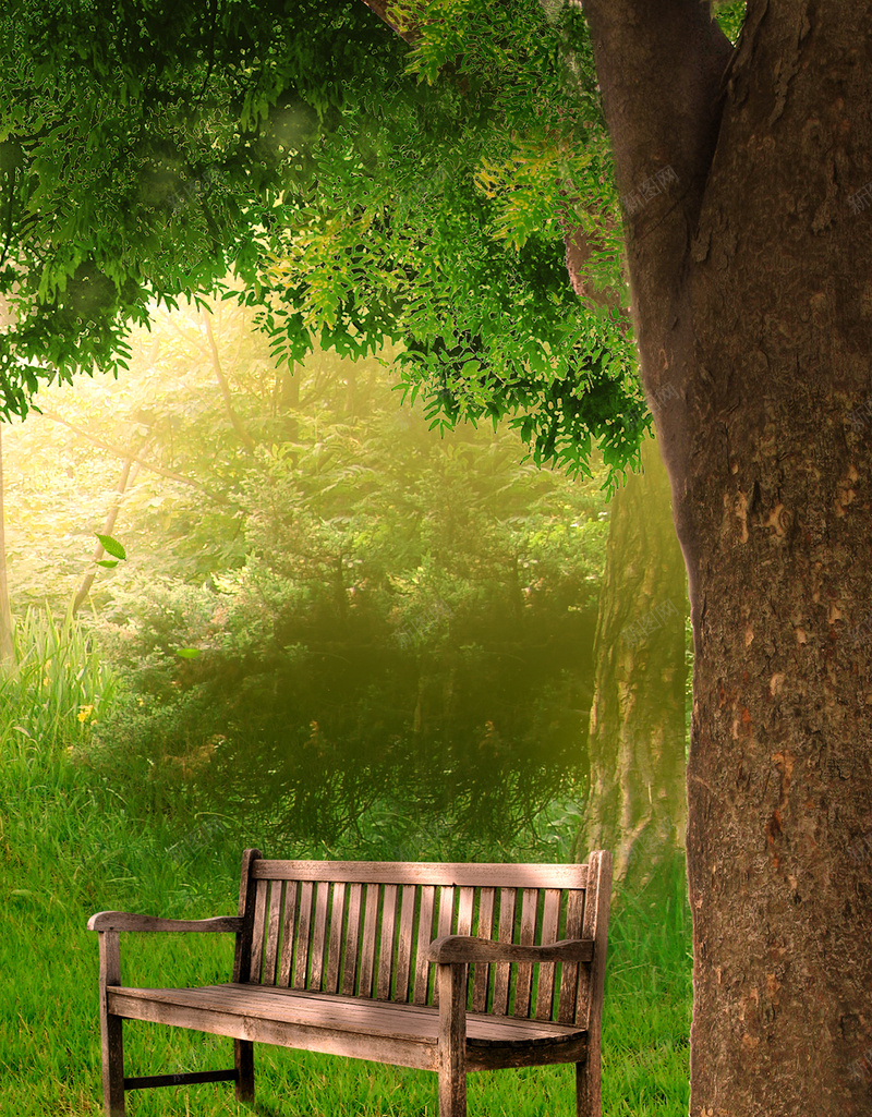 树木大自然木椅花朵背景psd设计背景_新图网 https://ixintu.com 光芒 大自然 木椅 树木 素材 绿色 背景 花朵