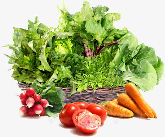 健康食品png免抠素材_新图网 https://ixintu.com 绿色 网页 蔬菜