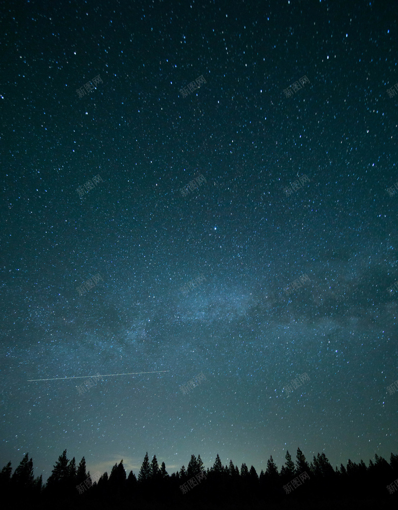 树木与划过夜空的流星jpg设计背景_新图网 https://ixintu.com PPT 划过夜空 树木 梦幻 流星 浪漫