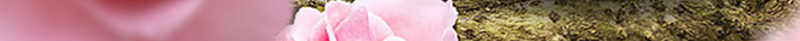 唯美花卉面膜海报背景psd设计背景_新图网 https://ixintu.com 化妆品 唯美 氢气球 浪漫 海报 素材 美白 背景 花卉 花朵 面膜