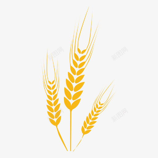 秋收的小麦27png免抠素材_新图网 https://ixintu.com 小麦 秋收 稻谷 粮食
