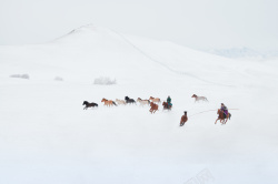 马免扣PNG图冬天雪地上的骏马图高清图片
