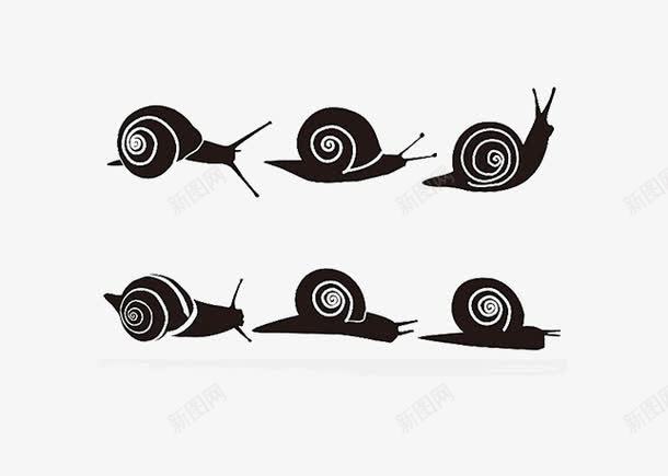 各种各样的蜗牛png免抠素材_新图网 https://ixintu.com 不一样的蜗牛图片 带壳生物蜗牛 简单的素材图片 黑色的蜗牛