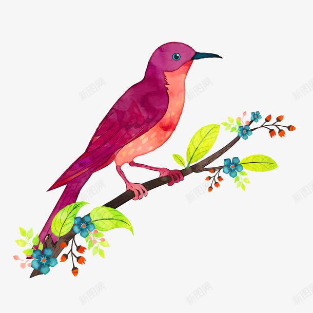 站在树枝上的鸟png免抠素材_新图网 https://ixintu.com 树枝 水彩 紫色 绿叶