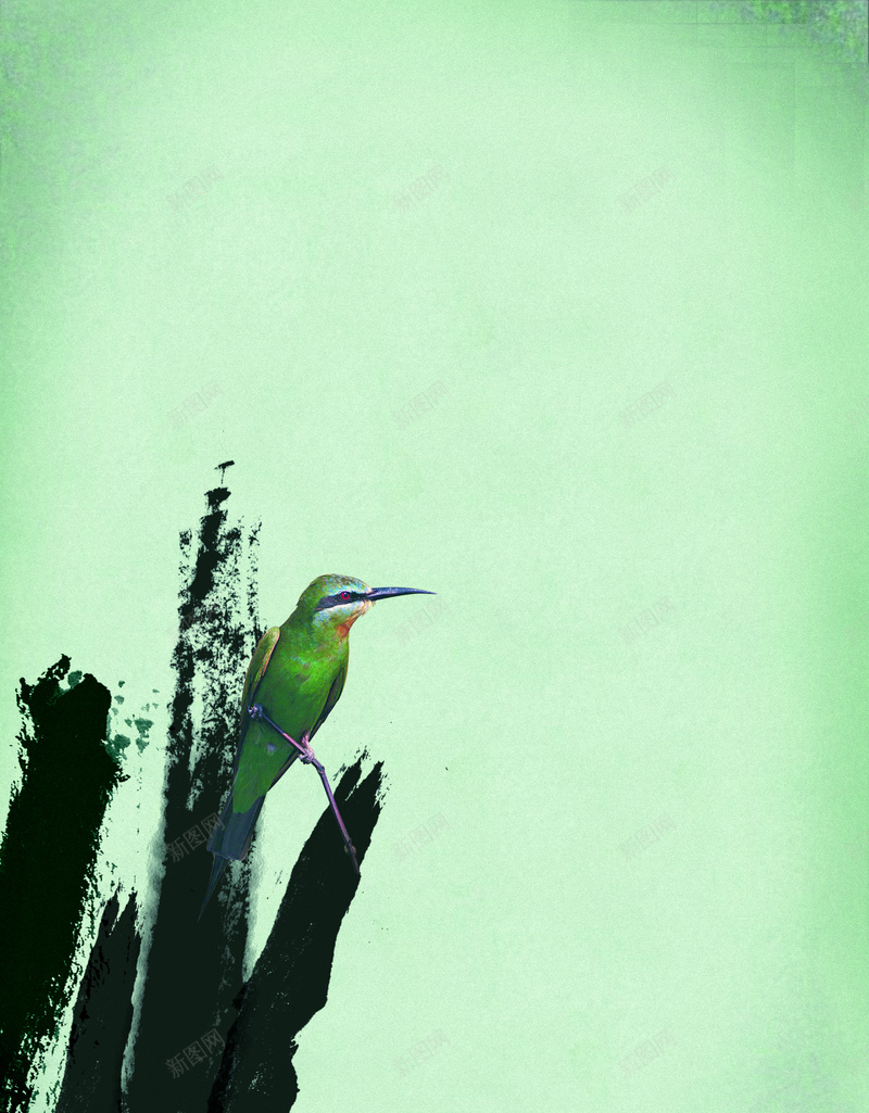 翠鸟印刷背景jpg设计背景_新图网 https://ixintu.com 小鸟 灰色 绿色 黑色 鸟 翠鸟印刷背景 质感 纹理