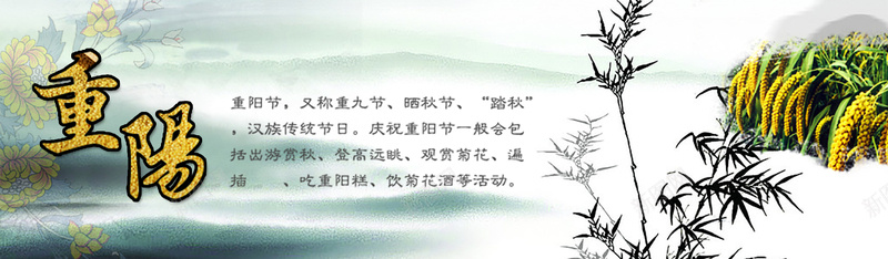 重阳节背景psd设计背景_新图网 https://ixintu.com 重阳节 节日 文艺 简约 花卉 菊花 秋季 重阳糕 海报banner 摄影 风景