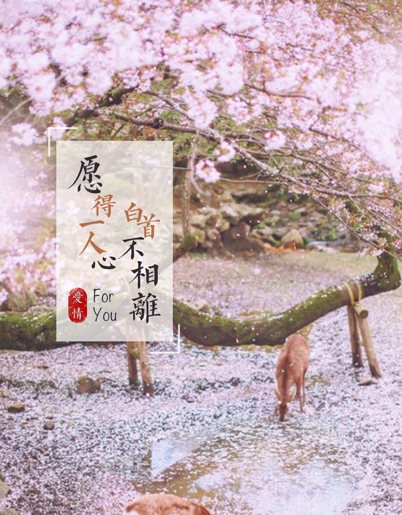 梦幻花卉H5BJjpg设计背景_新图网 https://ixintu.com H5 h5 唯美 小清新 文字控 文艺 梦幻 樱花 简约 花卉 风景