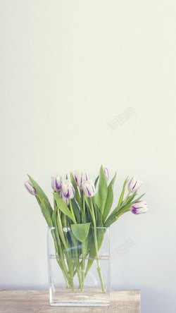简约盆景紫色花卉H5背景高清图片