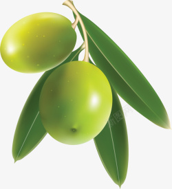绿色树叶橄榄素材