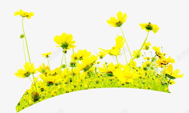 黄色夏季环保装饰花朵png免抠素材_新图网 https://ixintu.com 夏季 环保 花朵 装饰 黄色