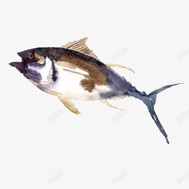 手绘的活鱼png免抠素材_新图网 https://ixintu.com png图形 png装饰 动物 手绘 活鱼 装饰