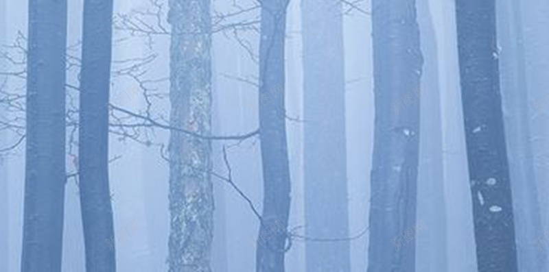 空灵迷雾森林H5背景图jpg设计背景_新图网 https://ixintu.com 森林 淡蓝 空灵 薄雾 迷雾 树林 H5 背景图