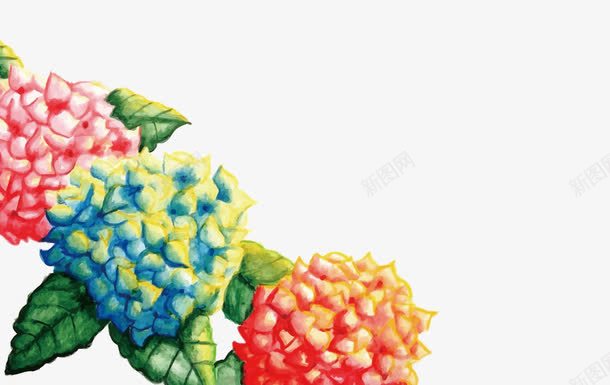 绣球花png免抠素材_新图网 https://ixintu.com PNG PNG免费下载 PNG图片 水彩 绣球花