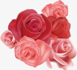 漂亮可爱玫瑰花海矢量图素材