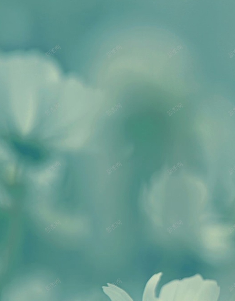 风景蓝底白色花朵H5背景素材jpg设计背景_新图网 https://ixintu.com 风景 蓝底 白色 花朵 天空 H5 白云 花朵背景 花朵素材 风景素材