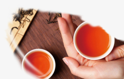 红茶杯子手握着茶杯的手素材