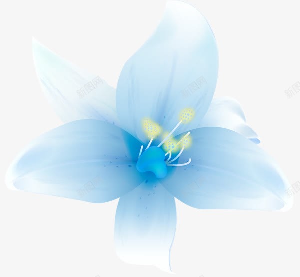 白色花瓣植物png免抠素材_新图网 https://ixintu.com 植物 白色 素材 花瓣