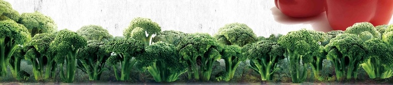 健康食材海报背景模板psd设计背景_新图网 https://ixintu.com 健康食材 有机蔬菜 背景素材 健康 海报 放心 宣传 展板