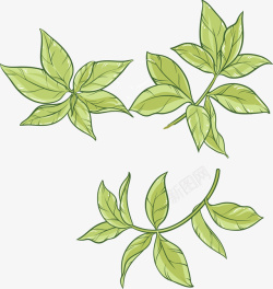 茶语手绘树叶茶叶矢量图高清图片