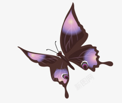 黑紫色蝴蝶矢量图素材
