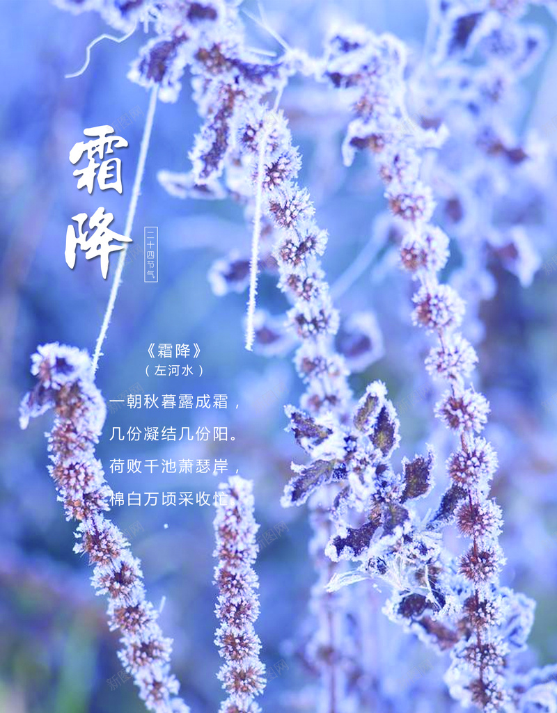 霜降传统节气素材psd设计背景_新图网 https://ixintu.com 霜降 节气 传统节气 秋 秋天 秋季 古诗 诗