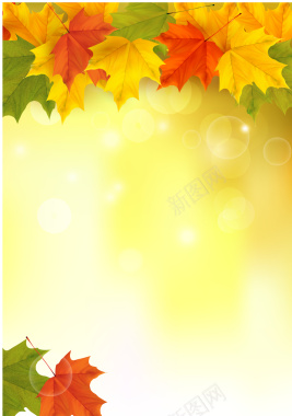 秋季黄金色枫叶背景矢量图背景