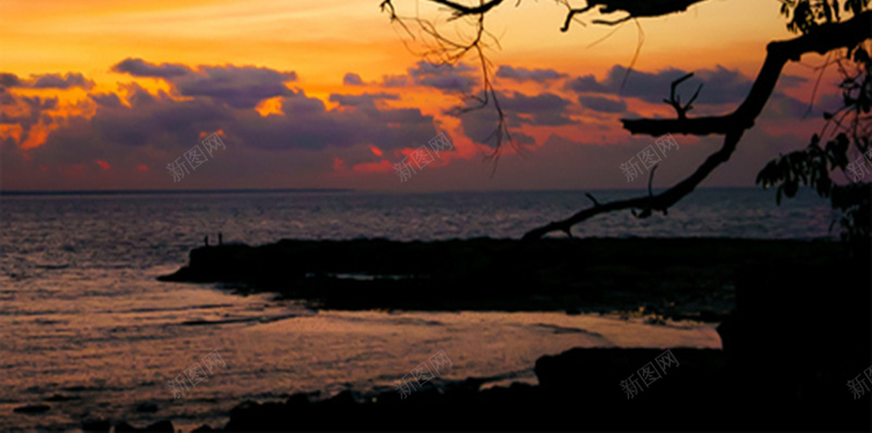 夕阳下的残枝背景图jpg设计背景_新图网 https://ixintu.com 夕阳 暮色 晚霞 平静 摄影 残枝 H5背景图 风景