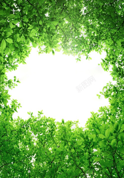 绿化宣传海报绿化森林宣传海报背景高清图片