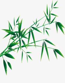手绘线条竹子和竹叶PNG绿色有线条的竹叶高清图片