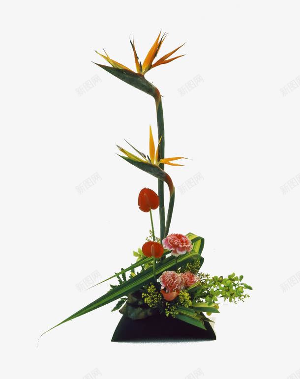 花艺png免抠素材_新图网 https://ixintu.com 插花 盆景 花 花艺