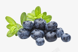 矢量蓝莓果子进口水果蓝莓BLUEBERRIES高清图片