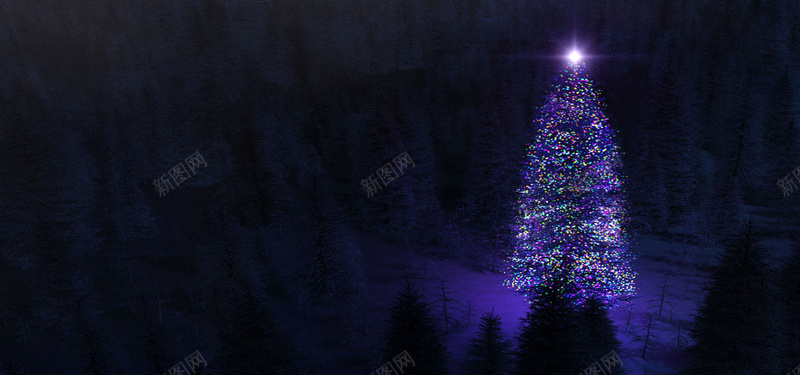 紫色圣诞树背景背景