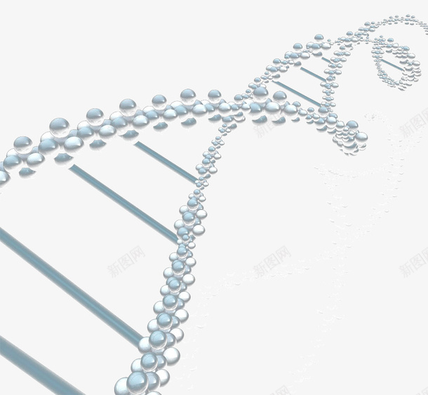 这DNA螺旋png免抠素材_新图网 https://ixintu.com A D N 旋 螺