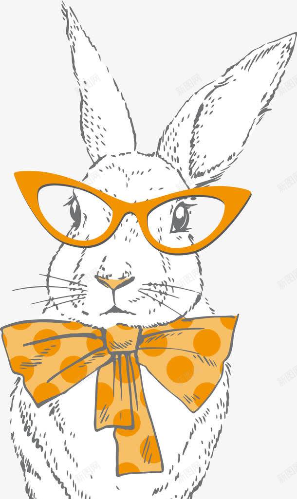 戴眼镜的兔子png免抠素材_新图网 https://ixintu.com 兔子 动物 眼镜