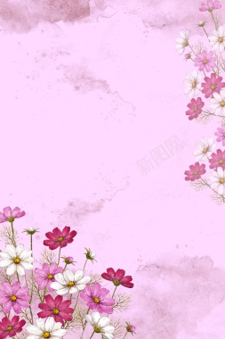 春天植物花卉粉色简约大气背景背景