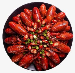 龙虾实物图小龙虾的高清图片
