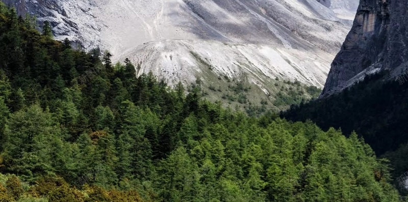 白色雪山风景摄影H5背景jpg设计背景_新图网 https://ixintu.com 白色 雪山 风景 摄影 天空 H5背景 树林 北方