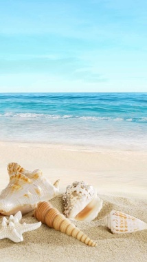 沙滩贝壳风景H5背景图片背景