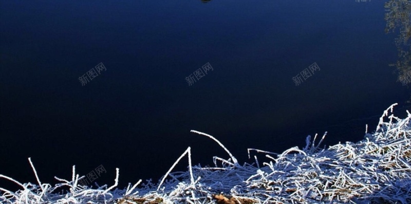 天空花卉倒影雪景H5背景jpg设计背景_新图网 https://ixintu.com 倒影 雪景 风景 彩色 天空 花卉 H5 h5 卡通 童趣 手绘