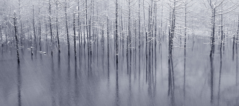 冰雪枯枝冬季背景jpg设计背景_新图网 https://ixintu.com 冰雪 枯枝 树林 雪 雨 灰色 冬天 冬季 风景背景 海报banner 摄影 风景